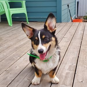 Meet your Posher, Caitlin